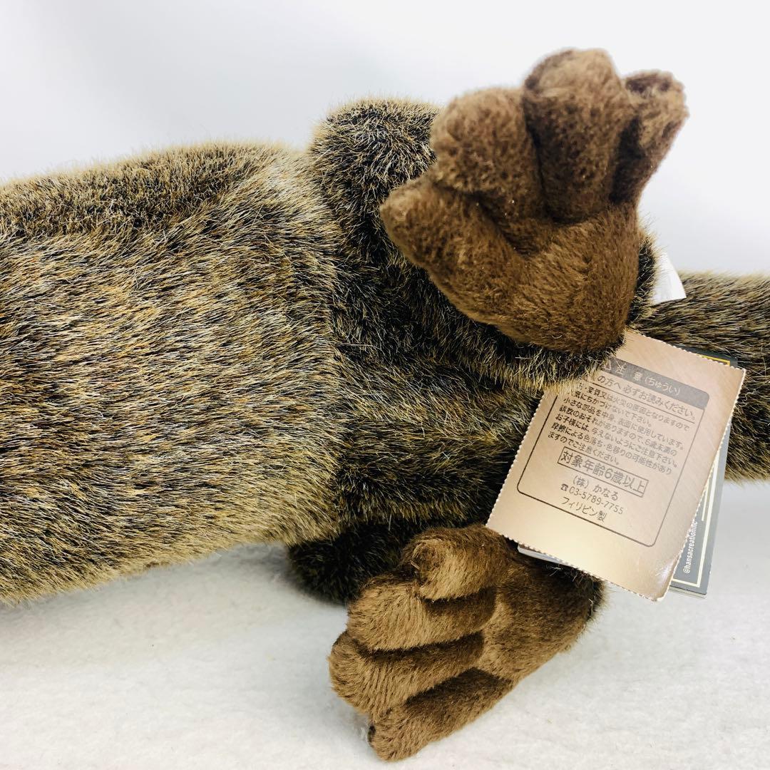 ハンサ ぬいぐるみ 3319 カワウソ かわうそ リアルアニマル 動物 獺