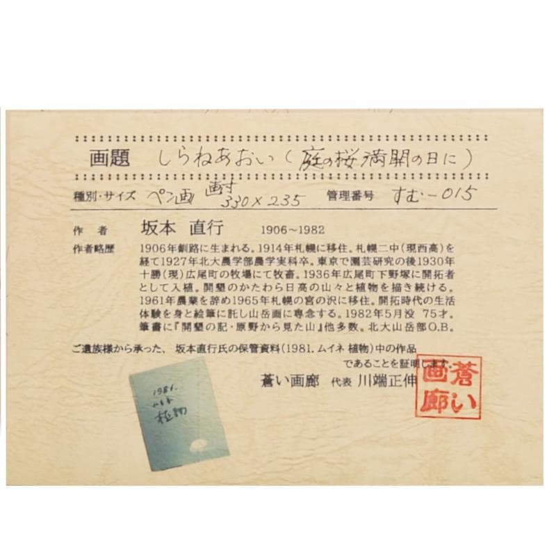 ☆坂本直行☆「 しらねあおい（庭の桜満開の日に）」ペン画 未使用！