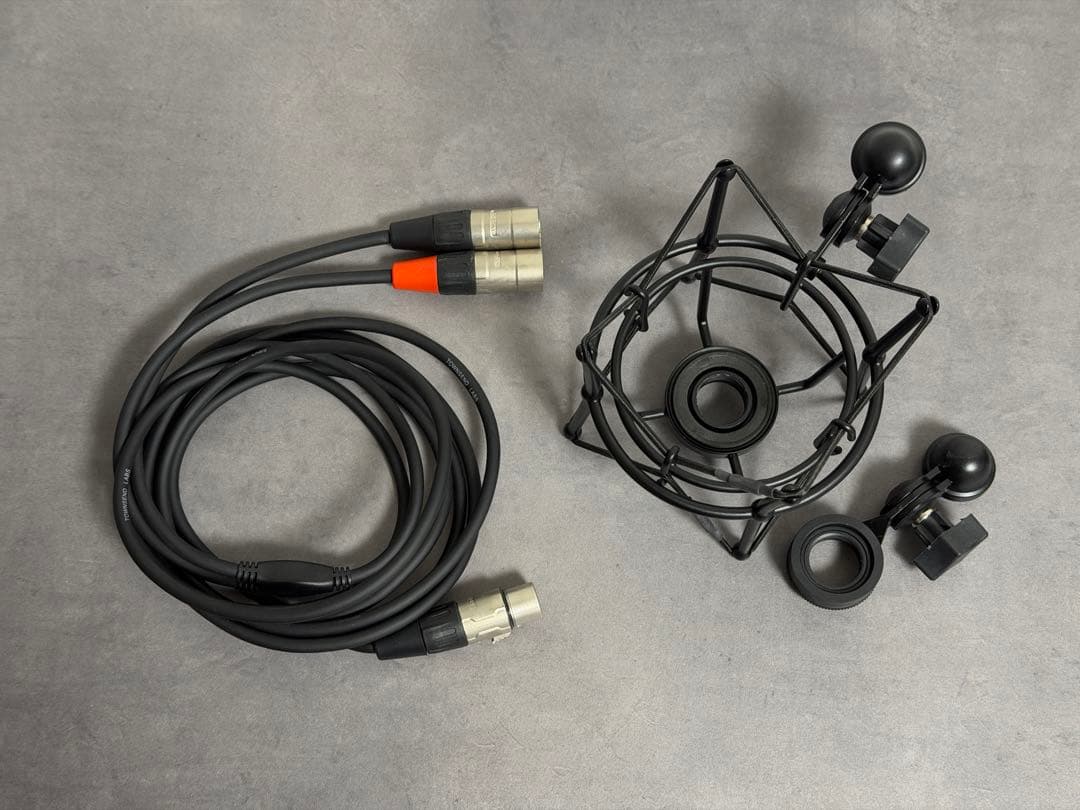 配信機器・PA機器・レコーディング機器 Townsend Labs Sphere L22