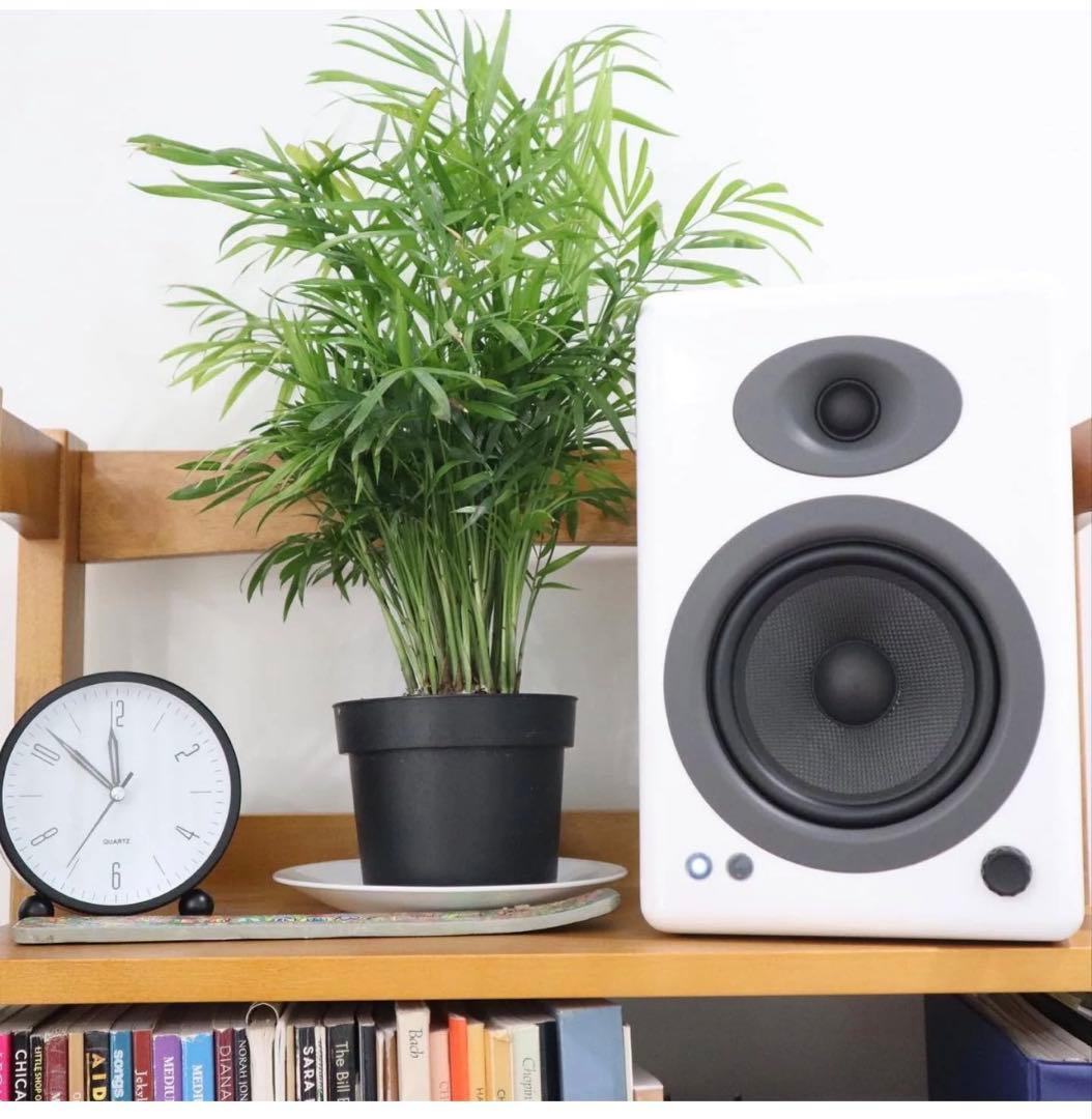 Audioengine A5+ Bluetooth ＋デスクトップスタンド 外箱