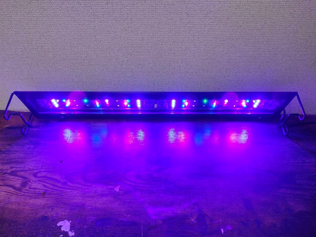 ボルクスジャパン Grassy Wing2 60 Marine/マリン