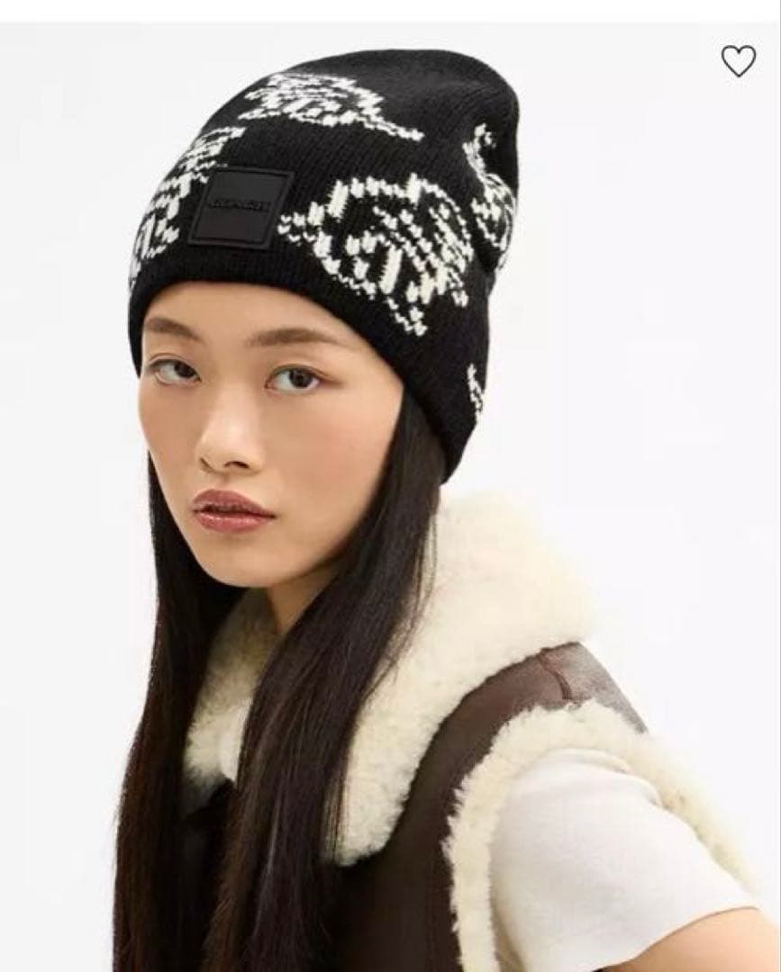 新品未使用】COACHコーチ☆ニット帽・ビーニー☆ディノプリント 人気