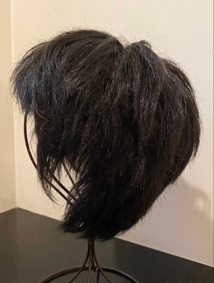 スベンソン医療用ウィッグ人毛　メンズ・レディース&フレッシュヴェール