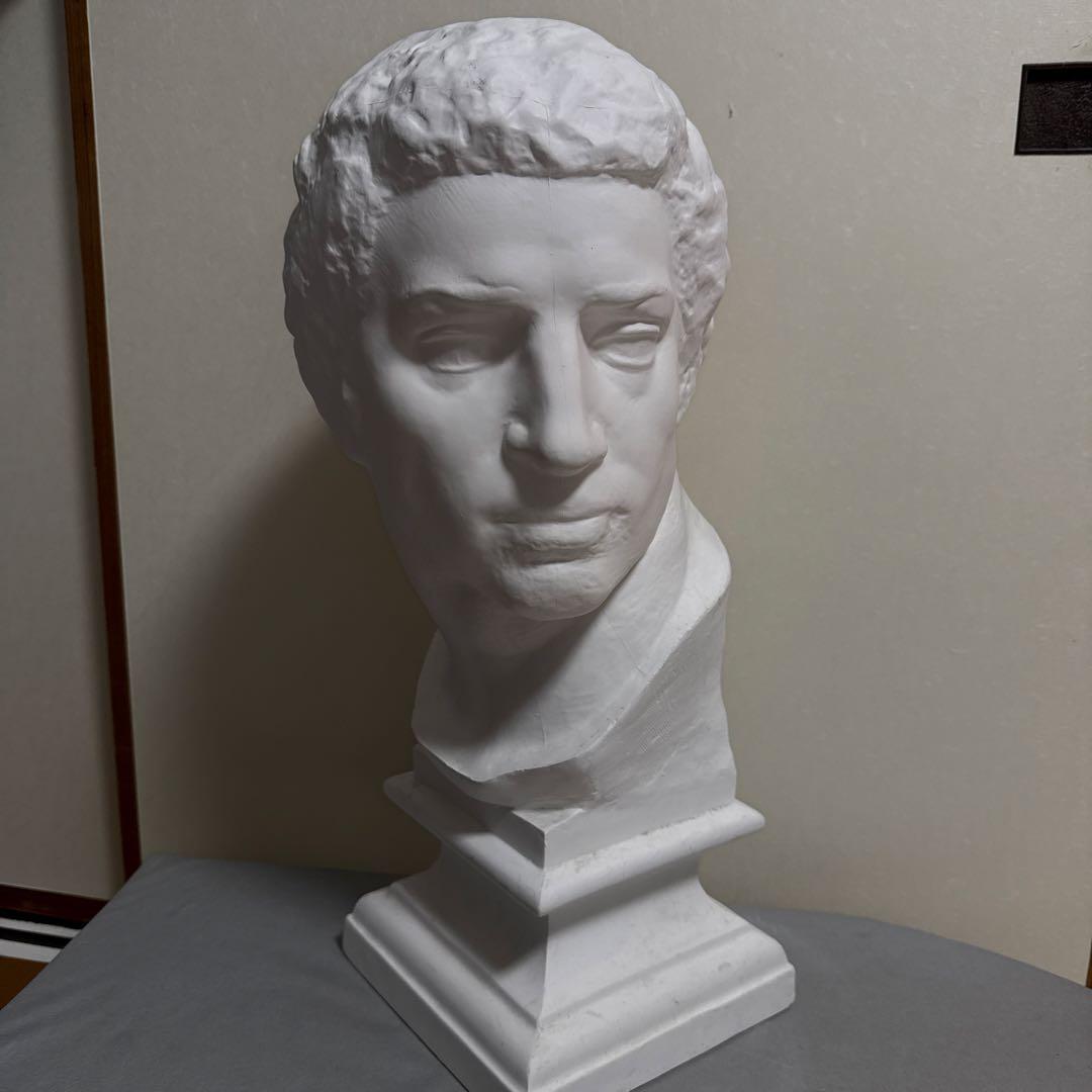 石膏像 ブルータス 美大受験 デッサン