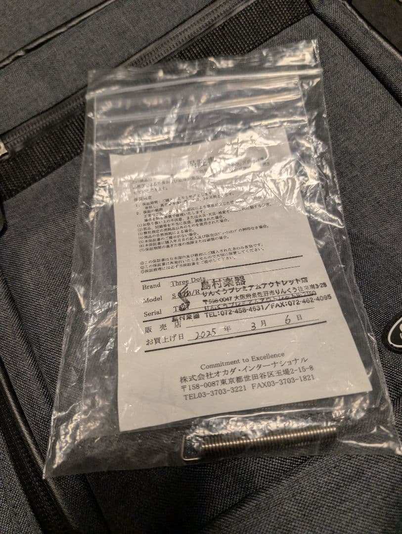 Three Dots Guitars s ケース付　オーダーピックガード付