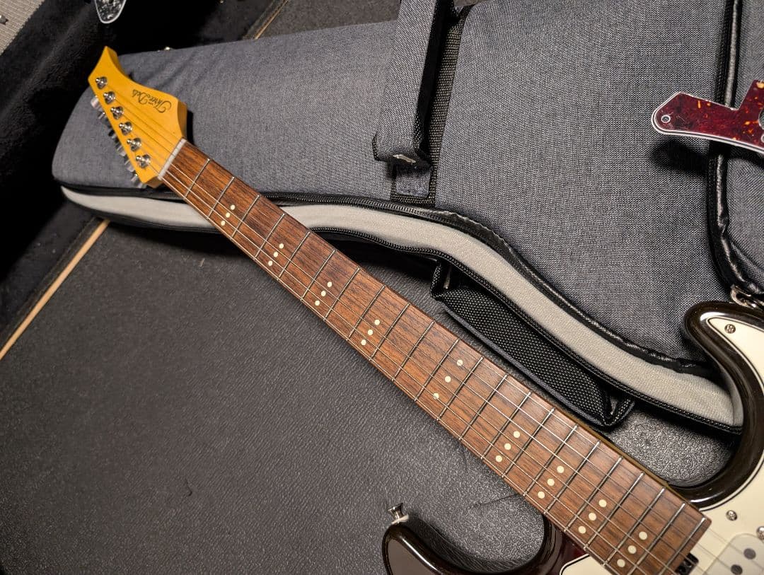 Three Dots Guitars s ケース付　オーダーピックガード付