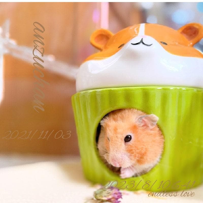 ハムスター グラスハーモニー600用 ロフト巣箱 (ハウス ハーモニー