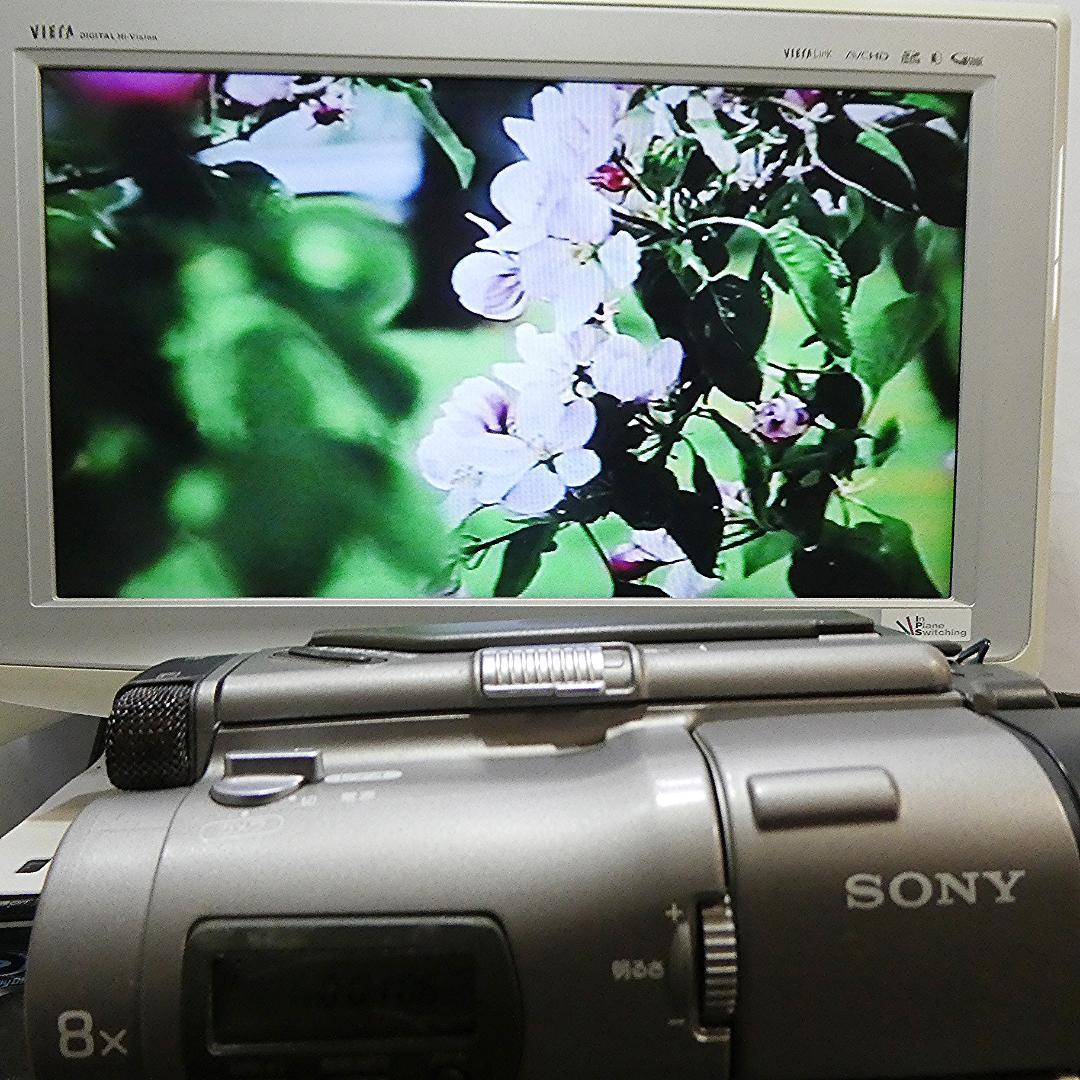 動作良好 VideoHi8 ソニーCCD-TR1 8ミリビデオ　DVD化に最適