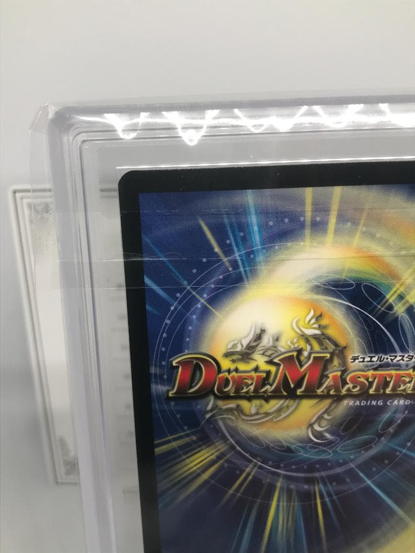 【ARS10+】護りの角フィオナ イタリア語 鑑定書付【PSA/ARS鑑定品】