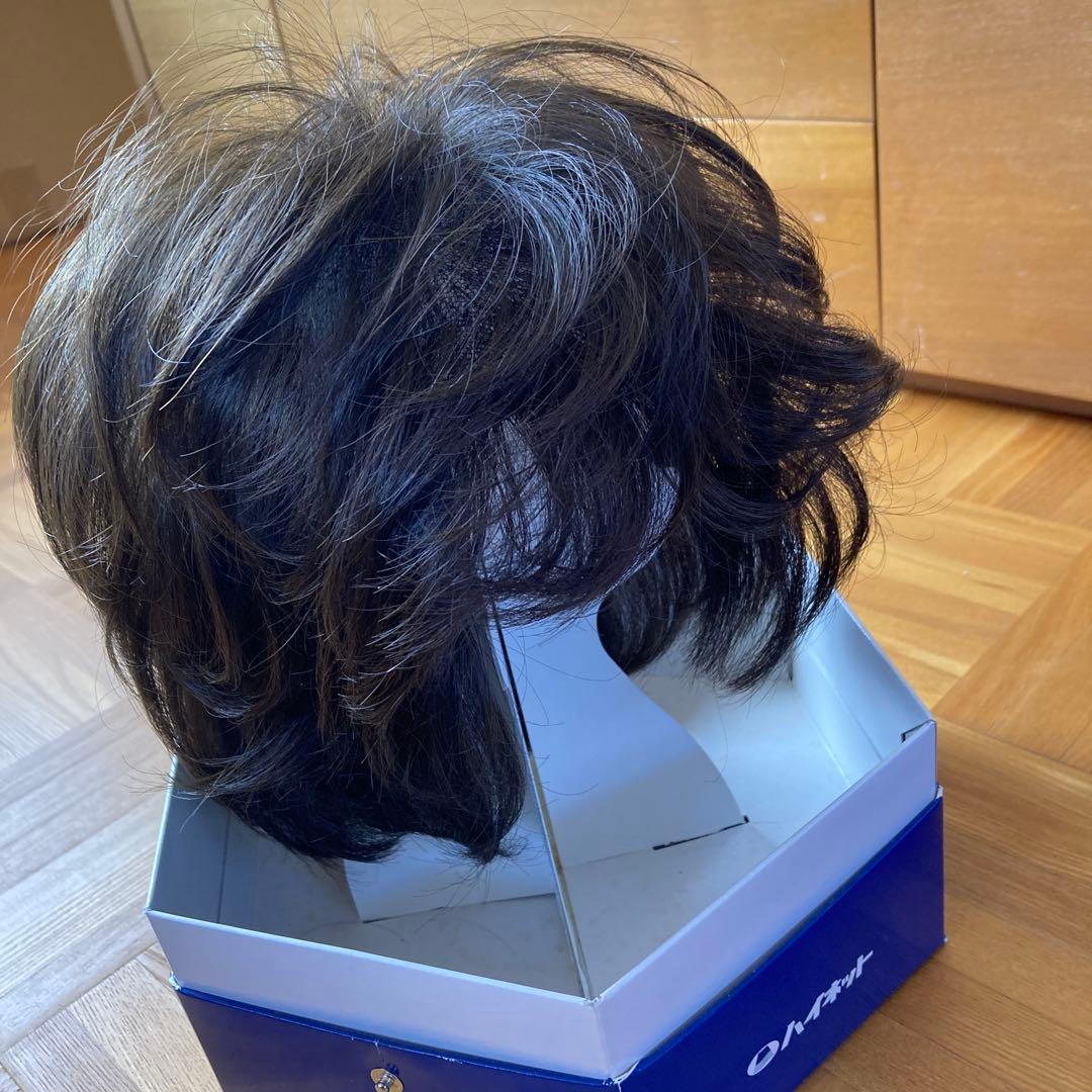 定価16万円以上　ハイネットウィッグ