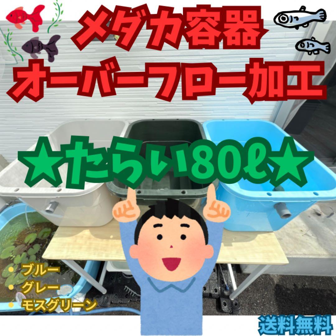 メダカ容器オーバーフロー加工 トロ舟80L 2個セットプラ舟NVボックス