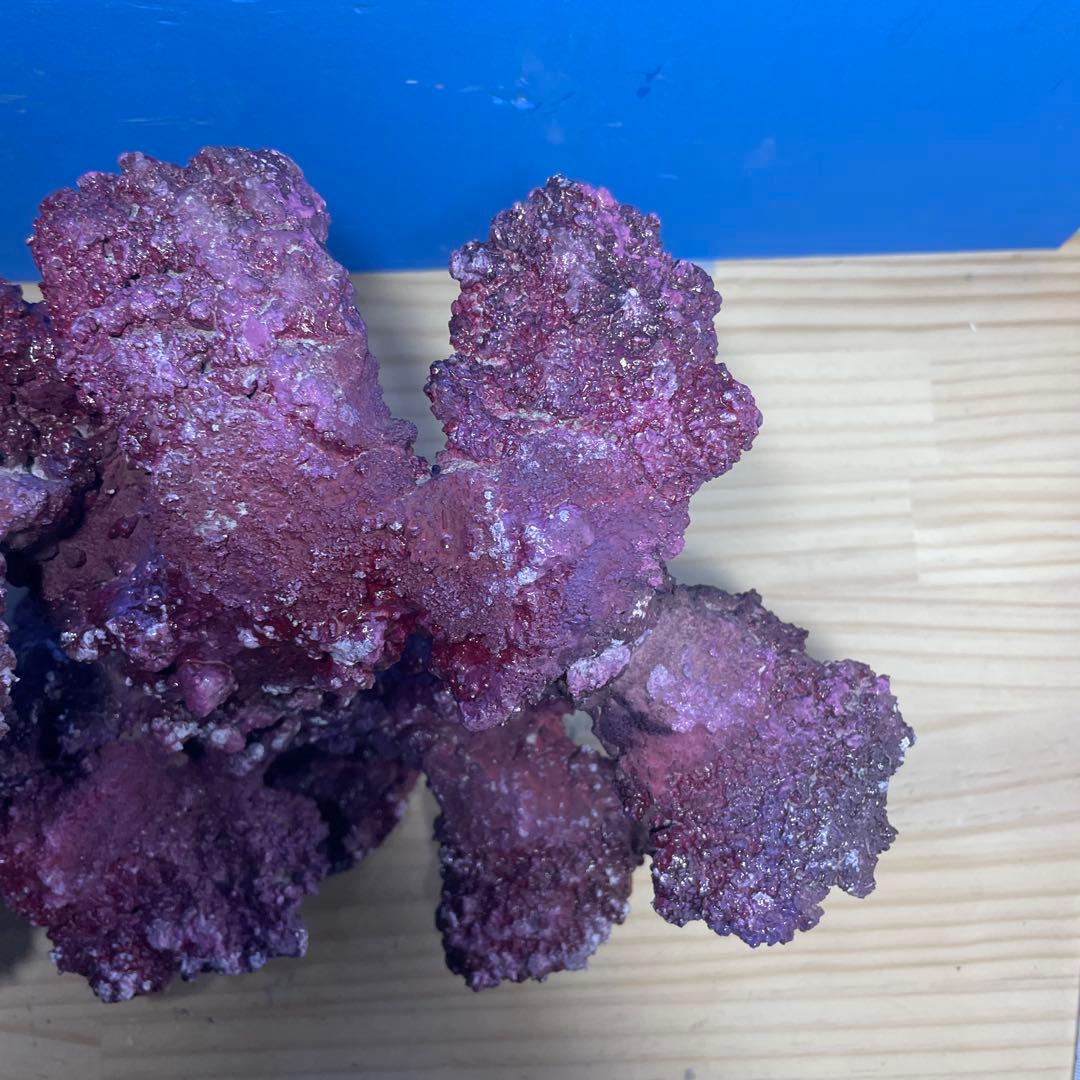 人工ライブロック SHR06 アク抜き済み安心塗料使用