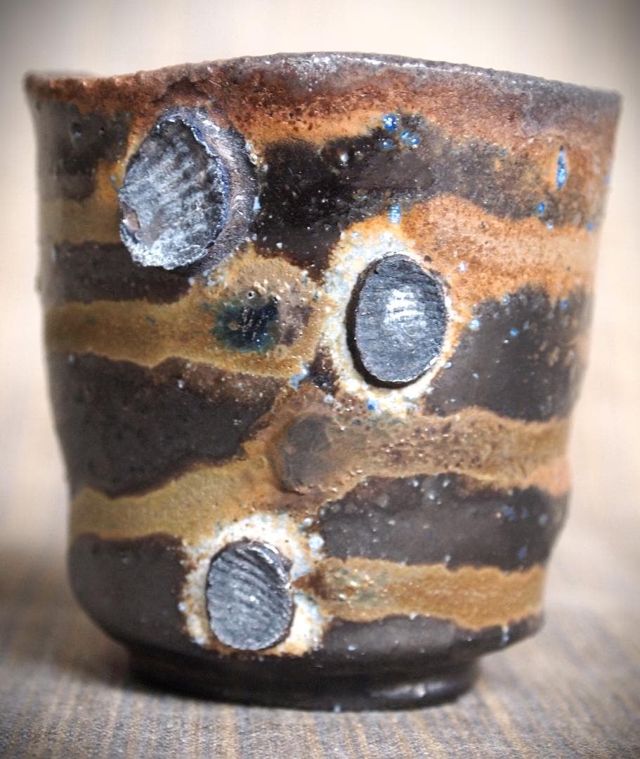 アクア・トトぎふ☆オオサンショウウオ☆記念メダル☆茶平