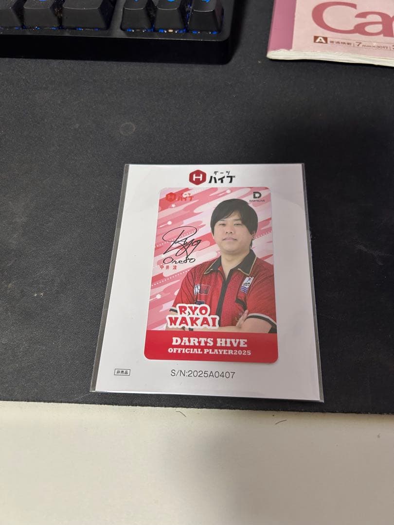 TEAM ONE80 Reign Ryo Nakai II 18g ソフトダーツ