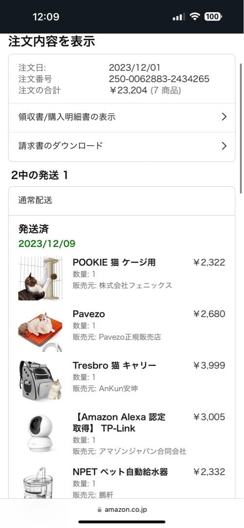 猫　飼育セット 猫 飼育セット
