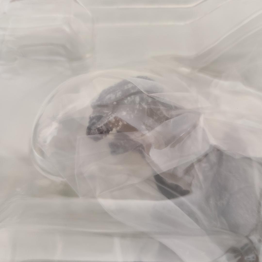 美品 S.H.MonsterArts ゴジラ(2016)第4形態 凍結Ver