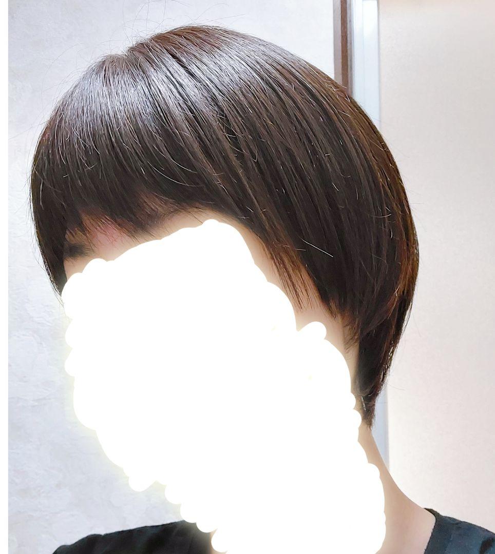 リネアストリア　天使のマニッシュショート　人毛mix　ダークブラウン