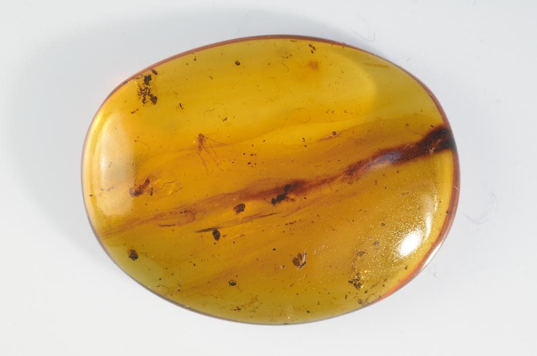 ZB041虫入り琥珀化石 ミャンマー カムティかタナイ産 9900万年前