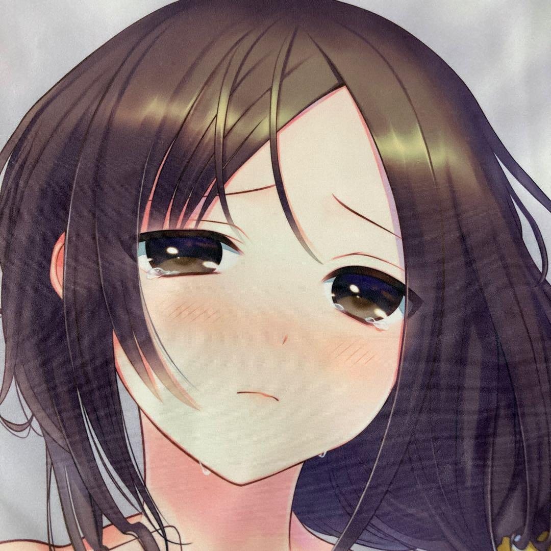 スタイラス　はねこと先生　描き下ろし　抱き枕カバー　古都羽　正規品　希少品