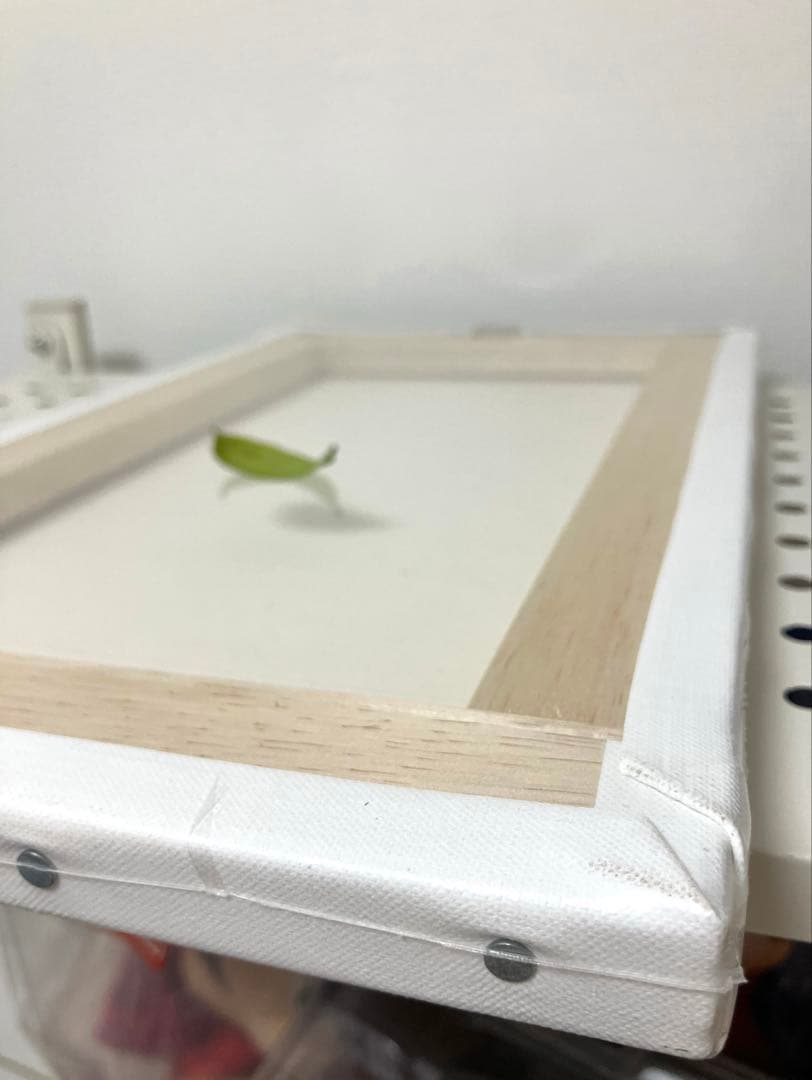 【トンキー様】 木梨憲武 展 数量限定 キャンバス　 アート 代表作品