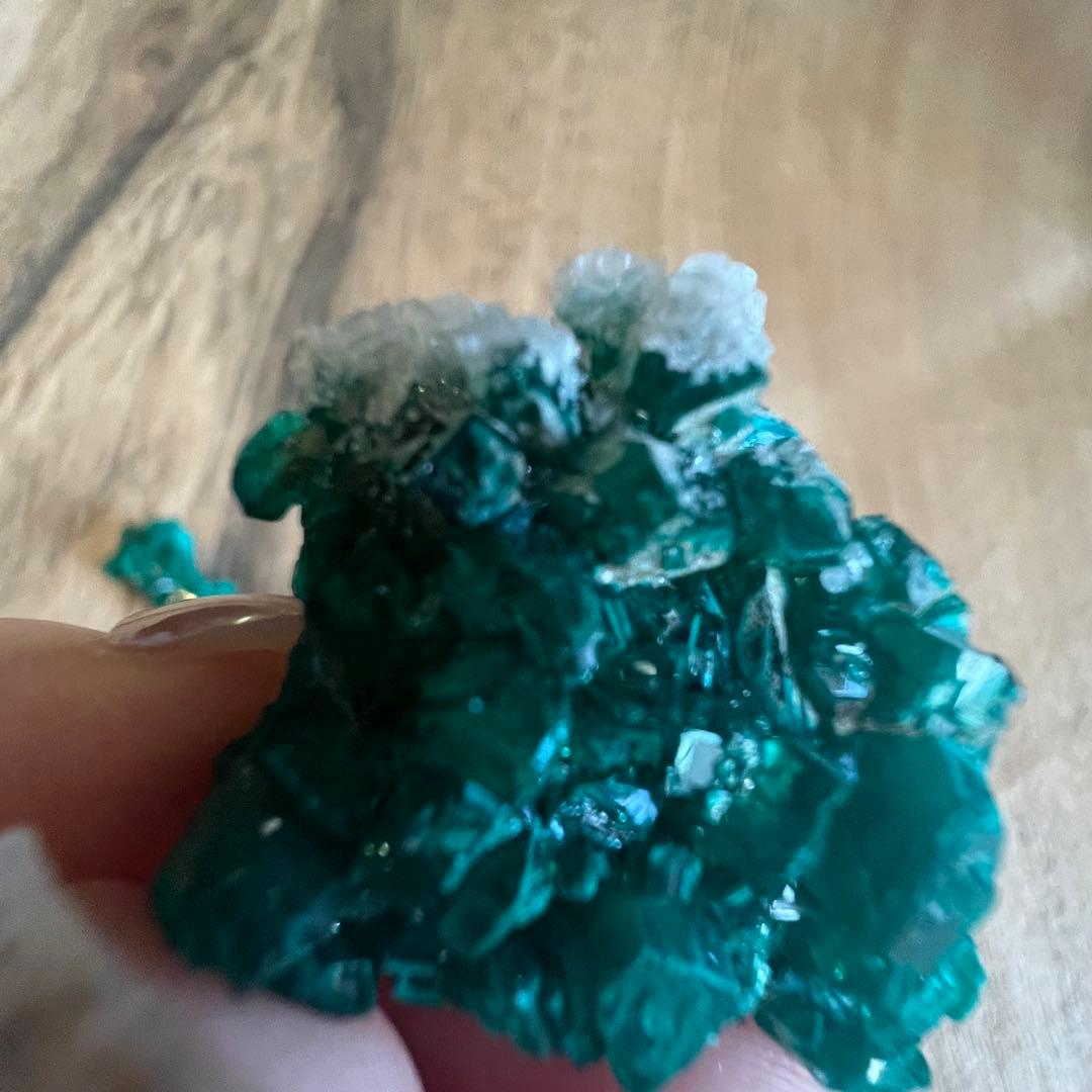 ダイオプテーズ F8 鉱物 標本 原石 ダイオプテーズ / 原石 標本