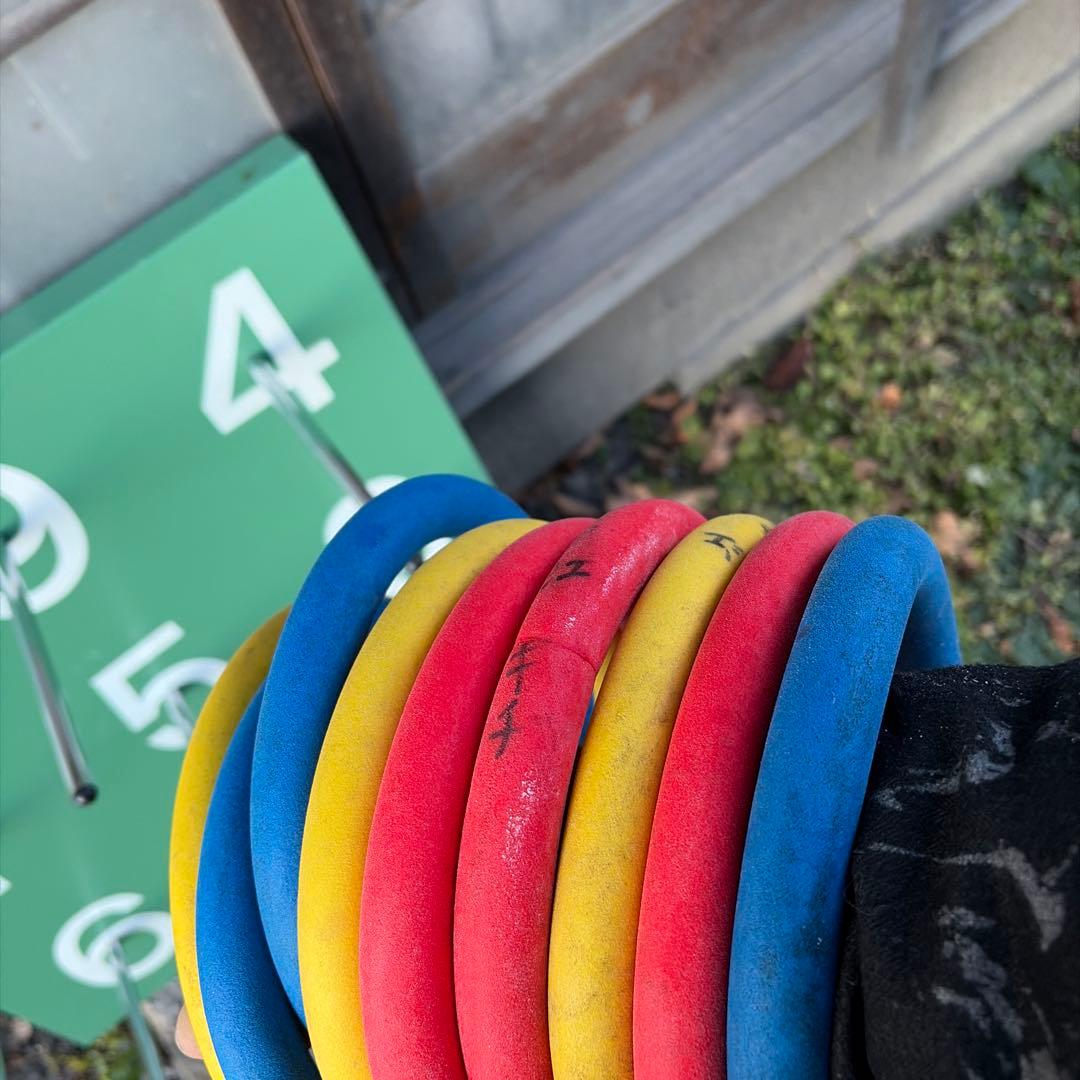 輪投げセット 国際輪投げ協会 公式モデル（スタンダードモデル）わなげ