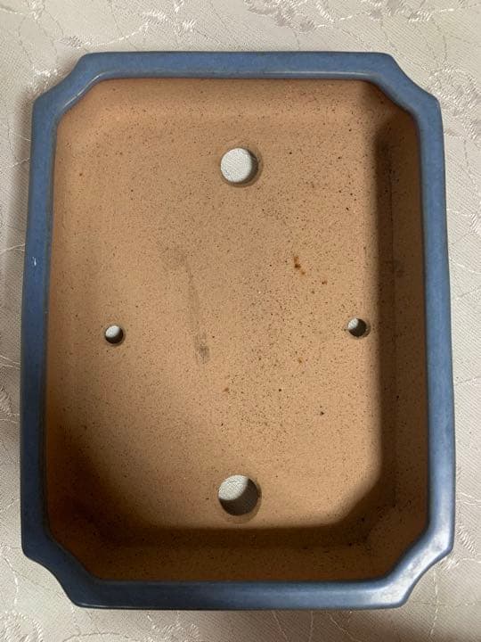 風舟 盆栽鉢 長方