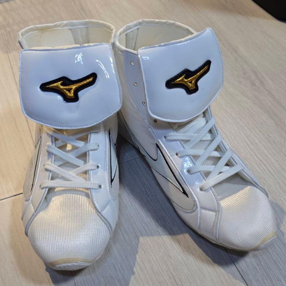 新品未使用】LAVA ボクシング グローブ シューズLサイズ2点セット