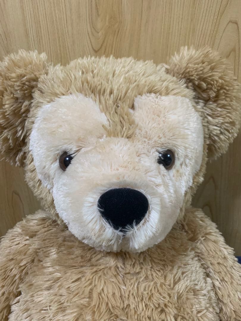 最終お値下げです希少お顔の可愛いダッフィー初期の旧Lサイズです！