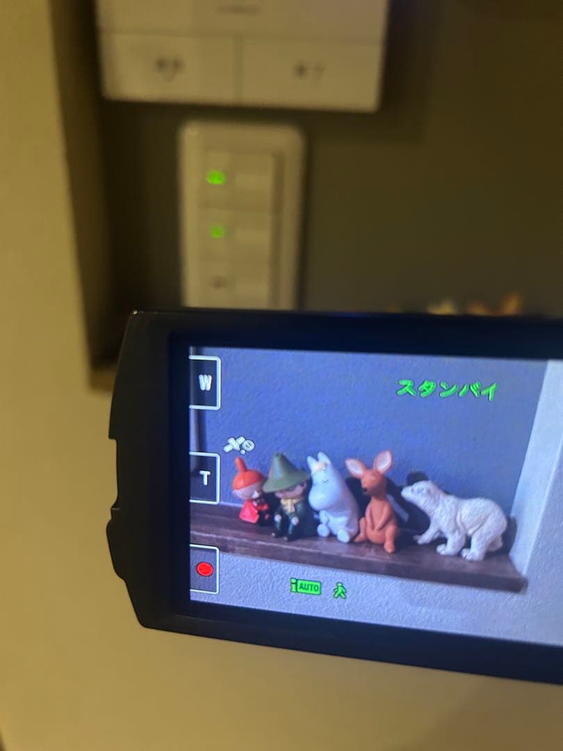 Sony ビデオカメラ HDR-CX550