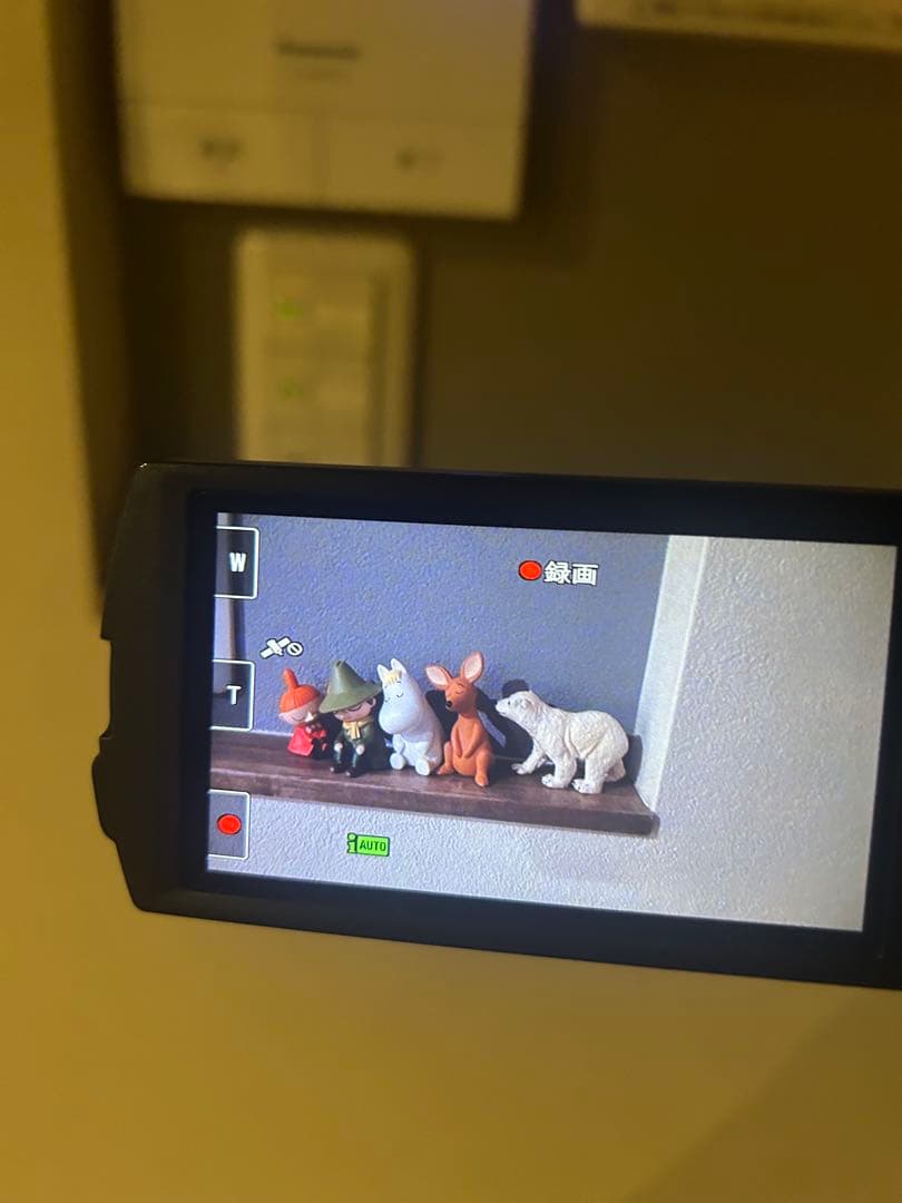 Sony ビデオカメラ HDR-CX550