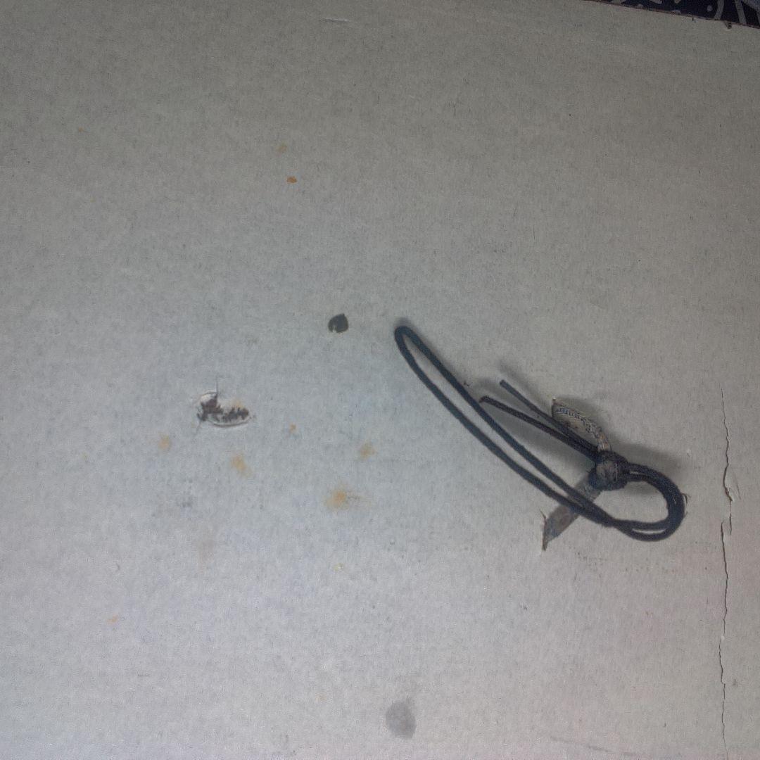 骨董５中国古銅器 鳥と動物のデザイン