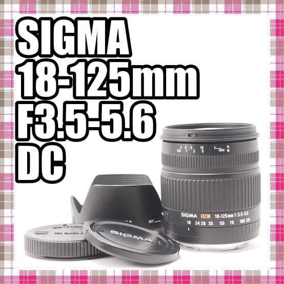 ✨新品同様✨SIGMA 18-125mm F3.5-5.6 DC Canon ONKYO D-202A D-202AII ウレタンエッジ二枚＋大容量35ml接着剤セット
