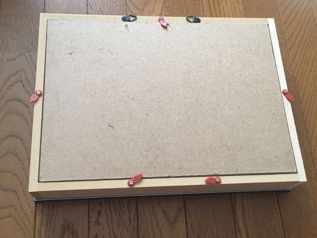 Ooo様専用 標本箱A4サイズ黒枠5点