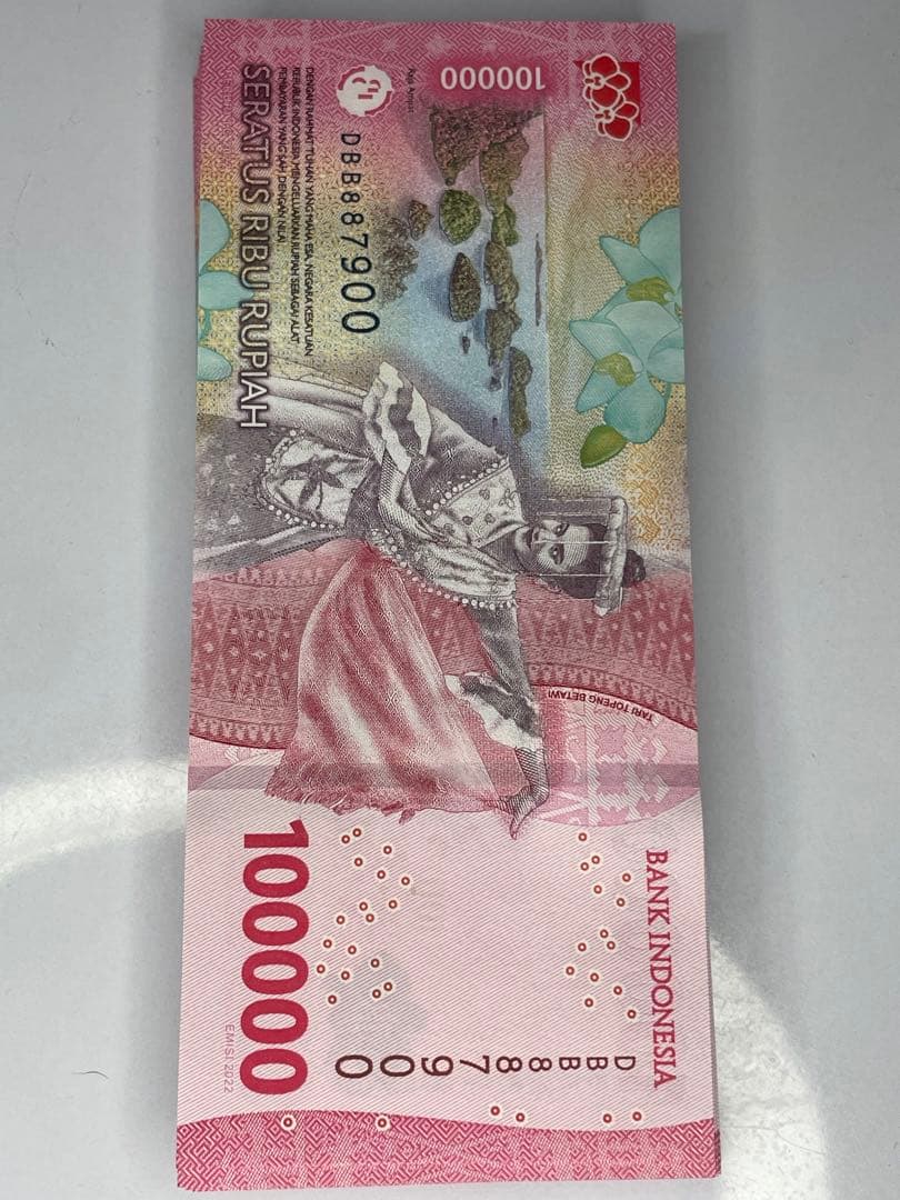 1000万インドネシアルピア Rp100,000 x100枚新札