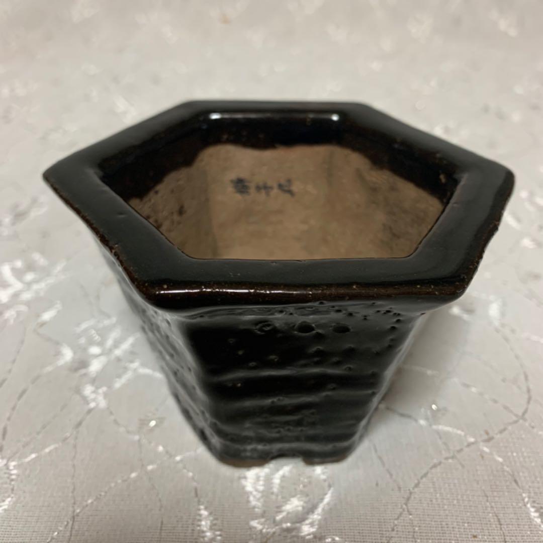 獅子丸 六角 盆栽鉢