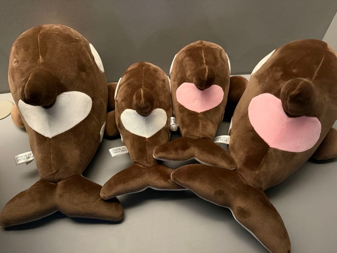 オルカくじ 新色 ショコラ・デュオ 3等 4等 4匹セット 須磨シー