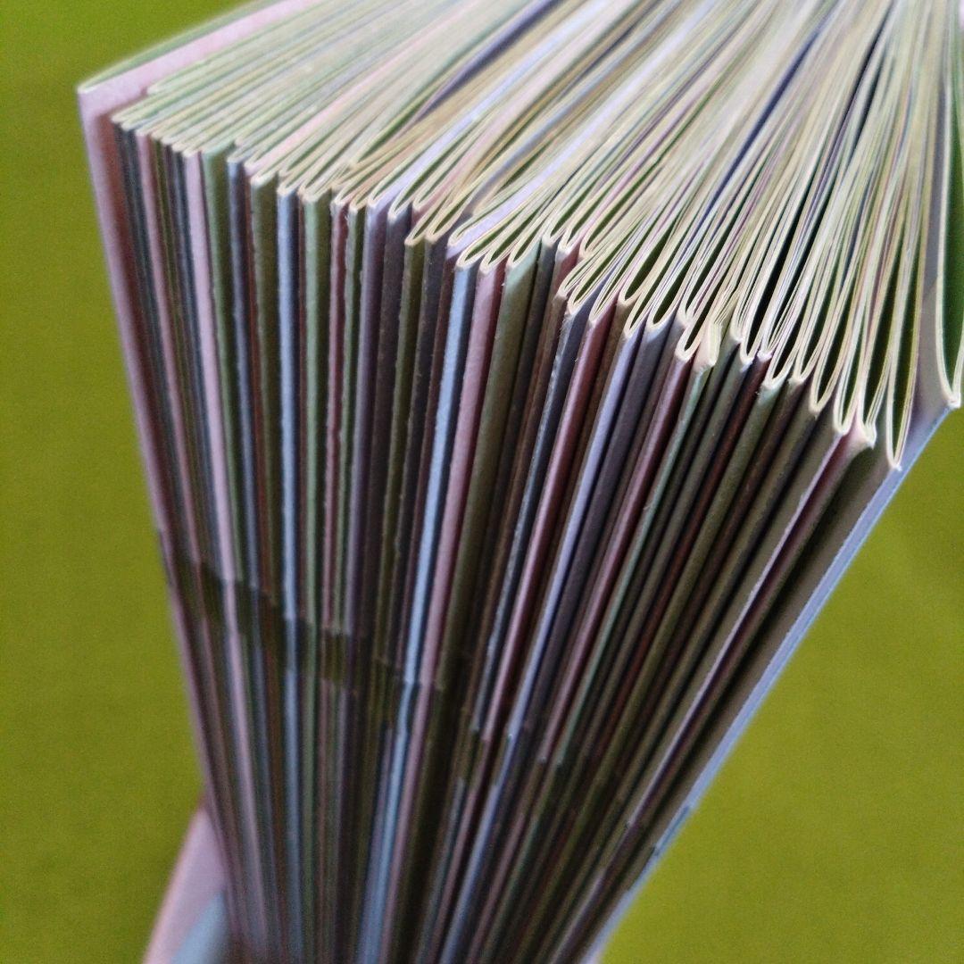 アシェット　樹脂粘土でつくるミニチュアフード