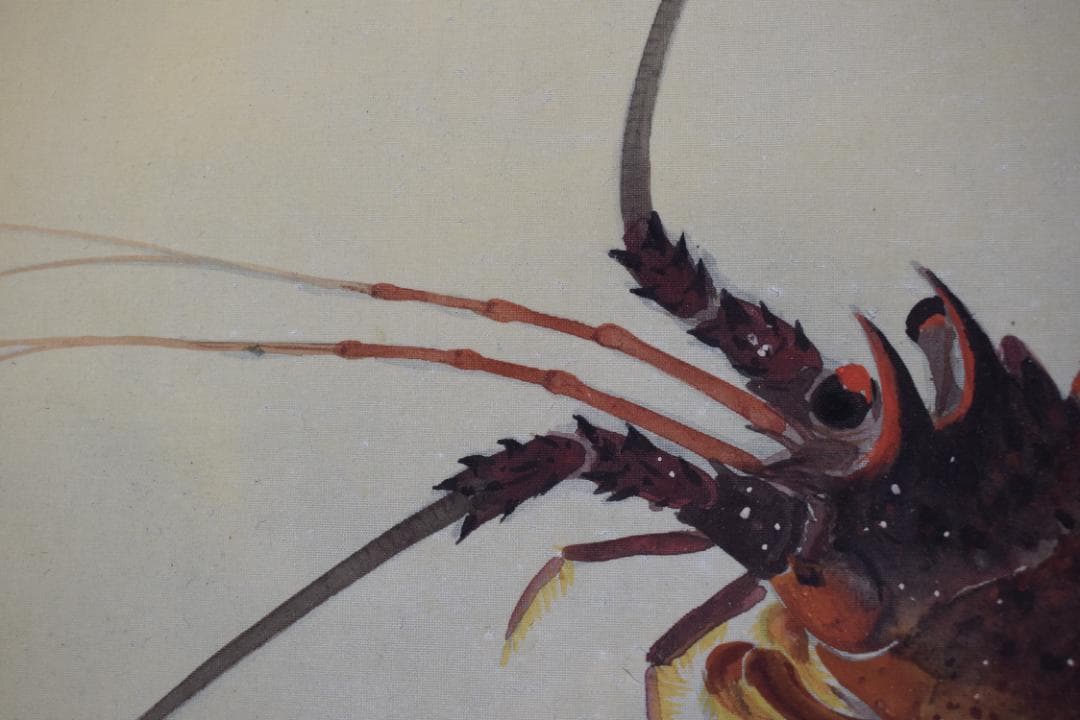 真作】山本紅雲/海老之図/横物/伊勢エビ図/掛軸☆宝船☆