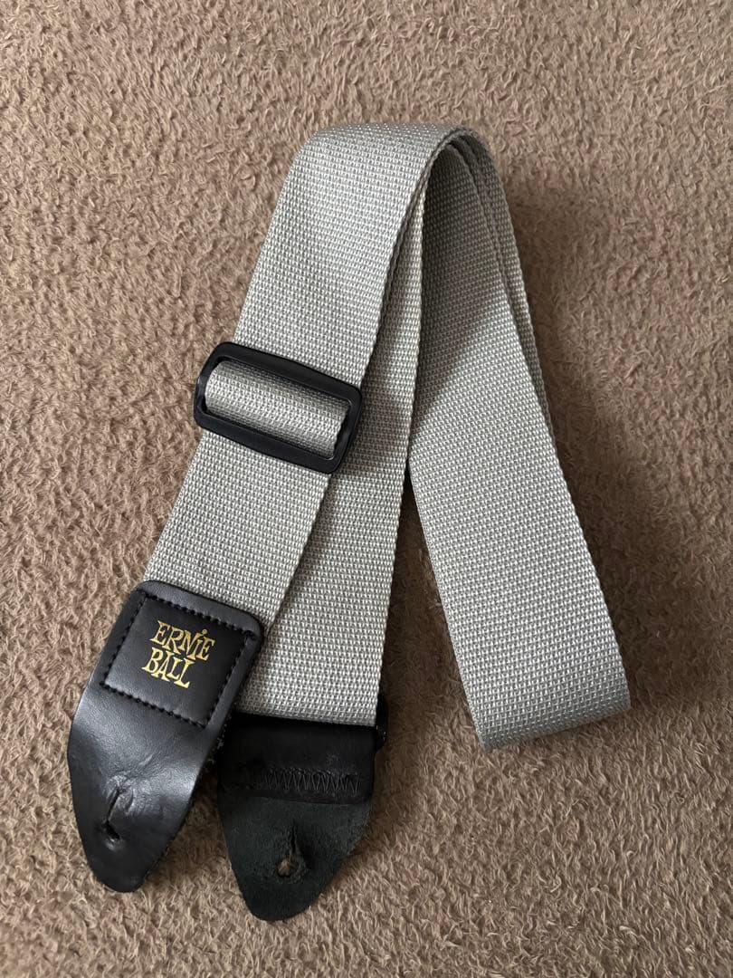 Epiphone Casino coupe エピフォンカジノクーペ　【おまけ付】