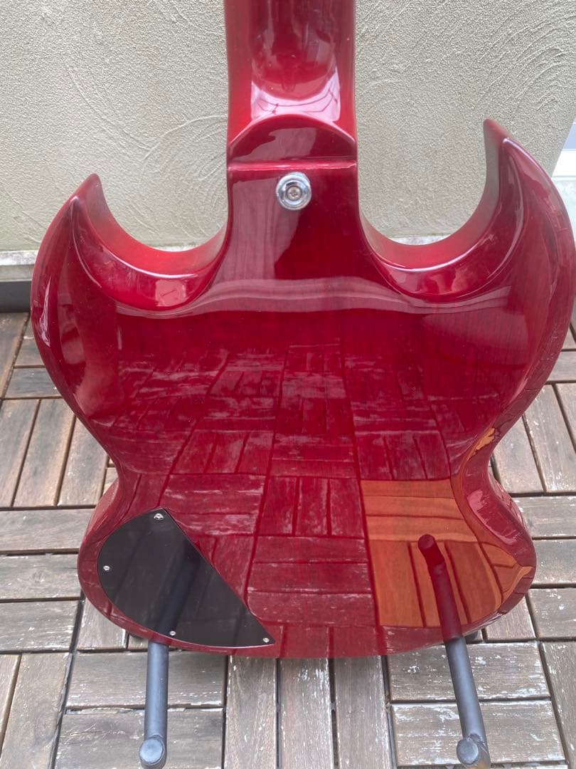 Photo Genic SG-250(フォトジェニック SGタイプ)