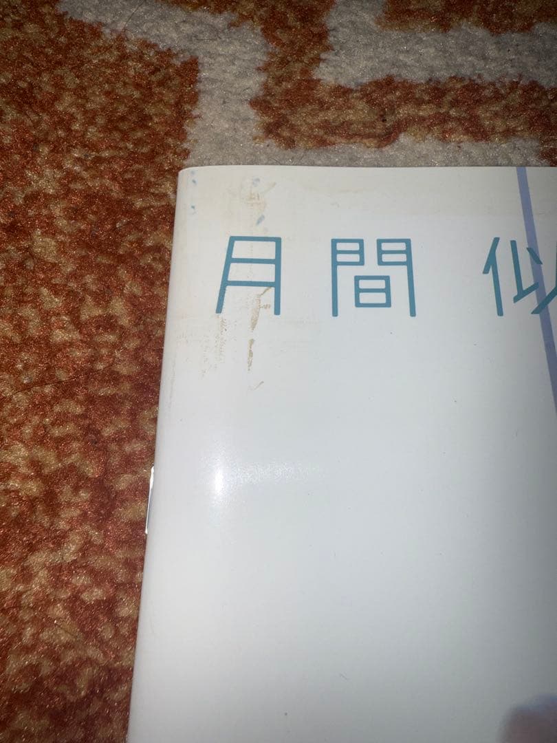 月間似鳥沙也加