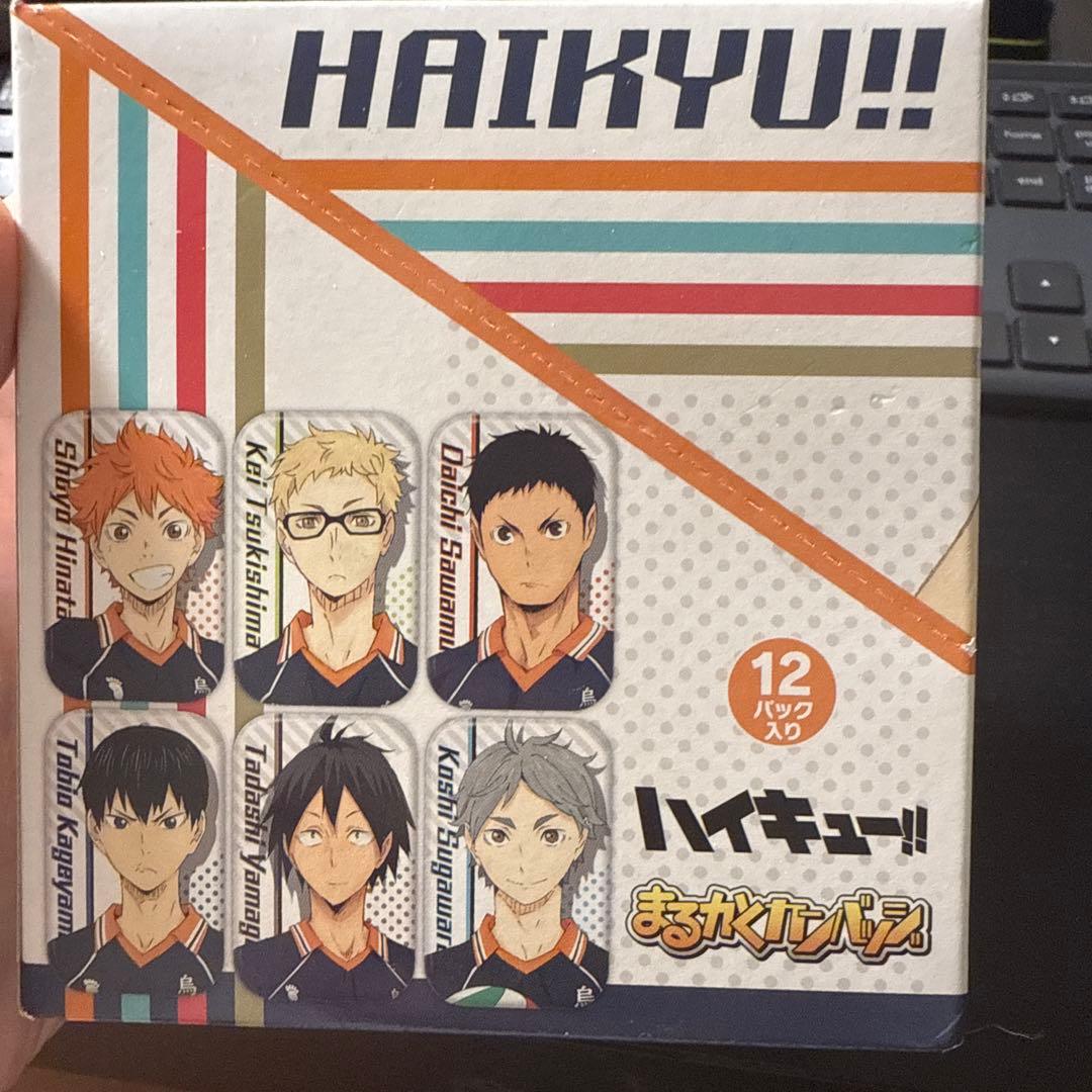ENSKY ハイキュー まるかく 缶バッジ 全12種類 三月獸BW