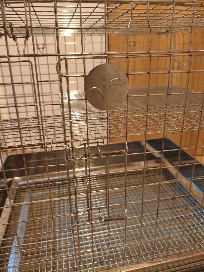 プロケージ60 二階建て うさぎのしっぽ うさぎのしっぽ プロケージ60