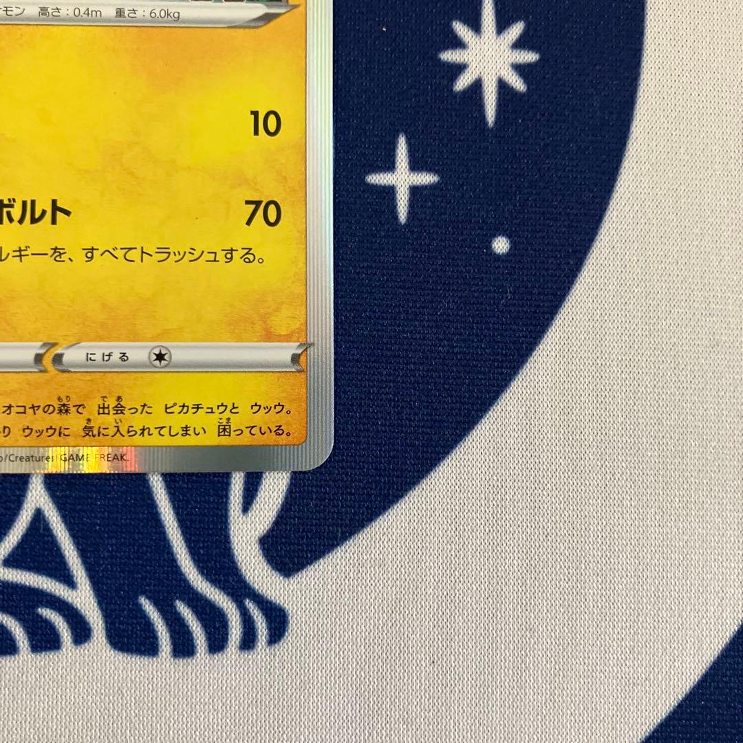 まるのみされたピカチュウ：「オコヤの森のセレビィ&ザルード」