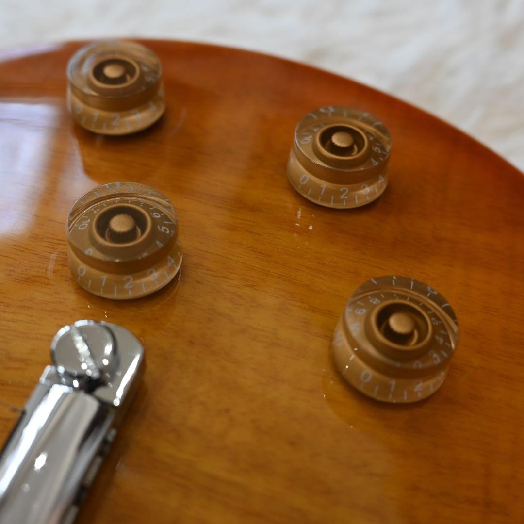 バッカス レスポールスタンダードタイプ ソフトケース付き