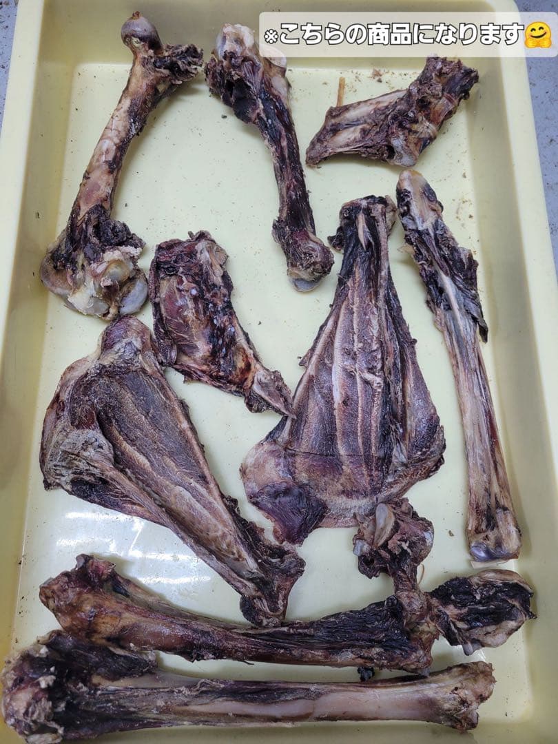 大盛り【お肉たっぷりいろいろボーンジャーキー】人気のガジガジ