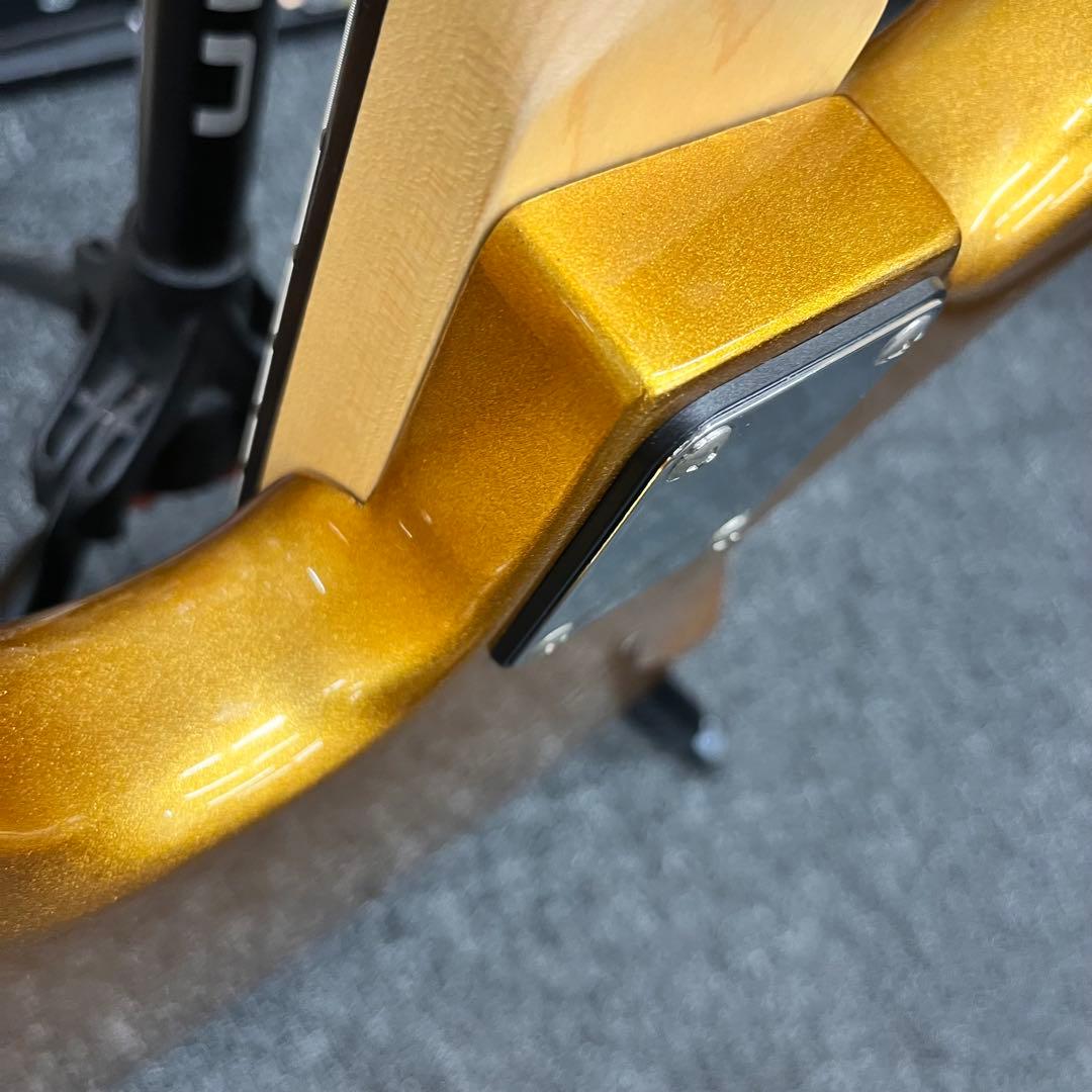 11069】Bacchus BJB-2 ゴールドスパークル ラメ