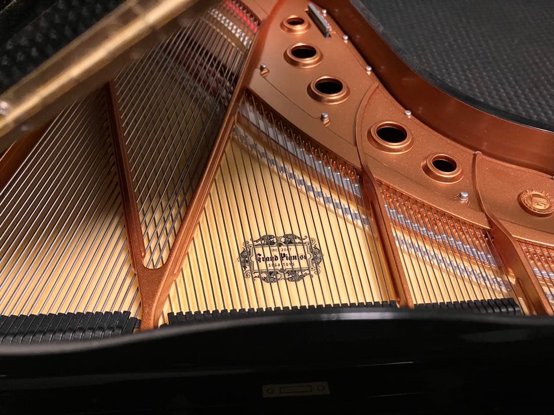 セガトイズ　グランドピアニスト　ミニピアノ　自動演奏