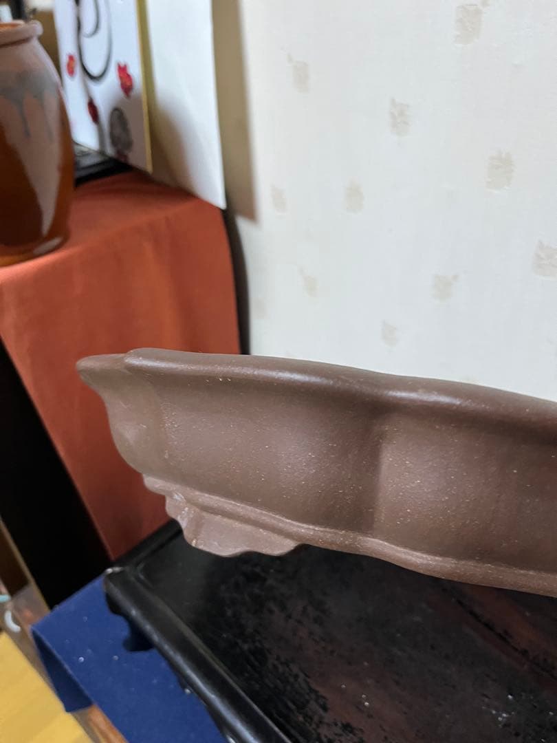 473 盆栽　盆栽鉢　植木鉢　中国鉢